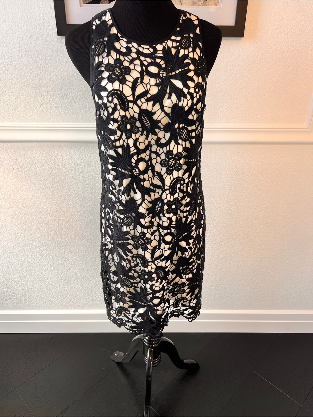 Banana Republic Black Lace Overlay Mini Dress with Cream Lining